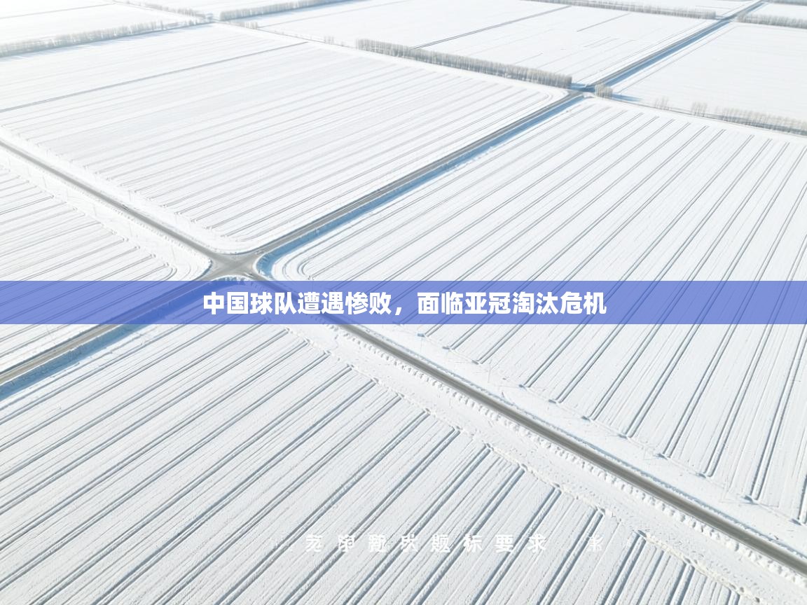 爱游戏体育娱乐罗马赞助商-中国球队遭遇惨败,面临亚冠淘汰危机 第1张