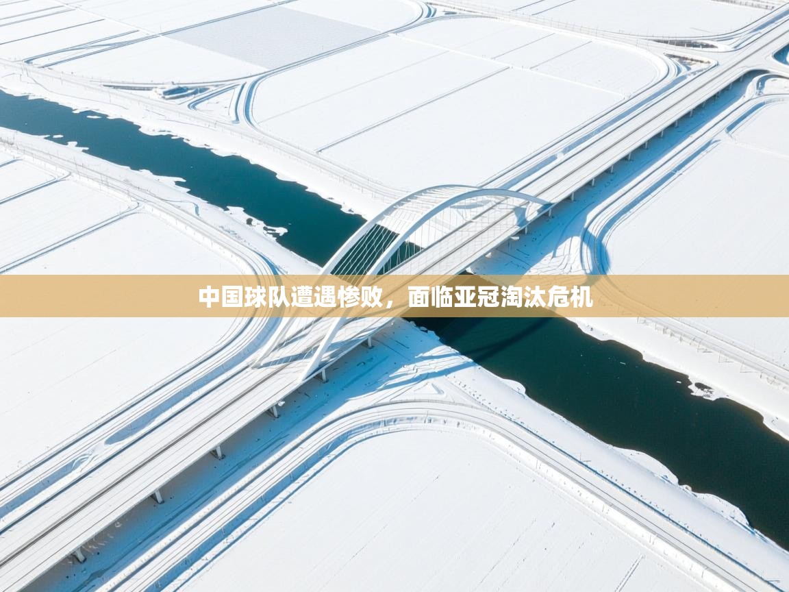 爱游戏体育娱乐罗马赞助商-中国球队遭遇惨败,面临亚冠淘汰危机 第4张