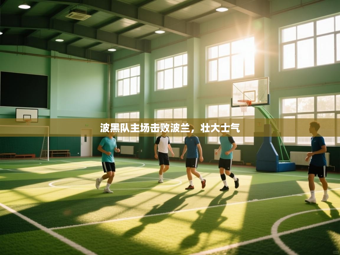 爱游戏体育赛事-波黑队主场击败波兰，壮大士气  第2张