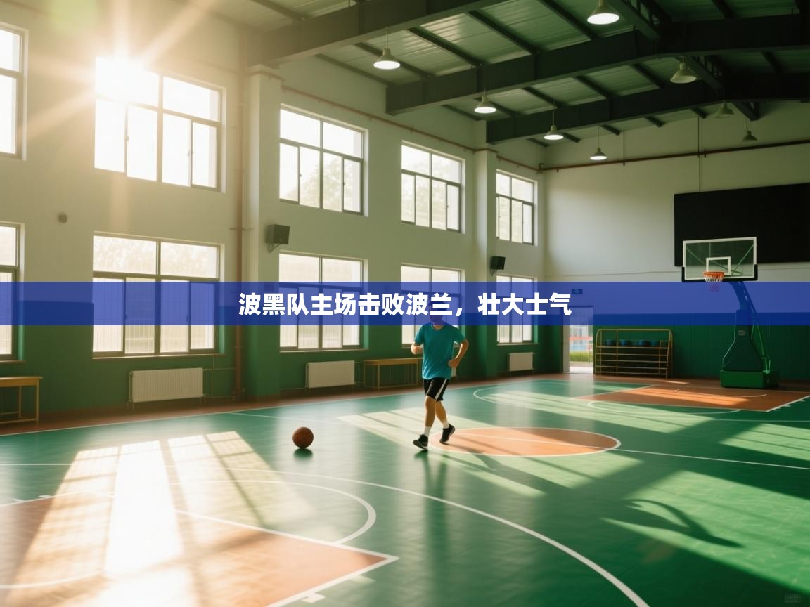 爱游戏体育赛事-波黑队主场击败波兰，壮大士气  第1张